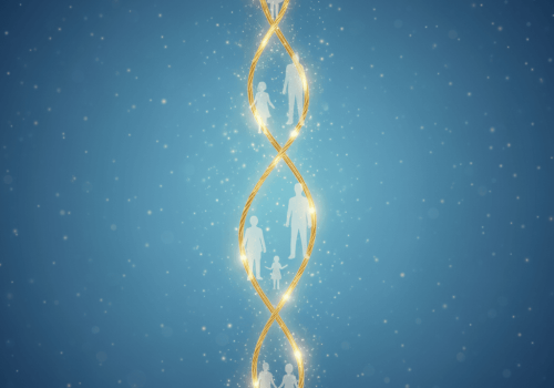 Gemini_Generated_Image_km5krnkm5krnkm5k